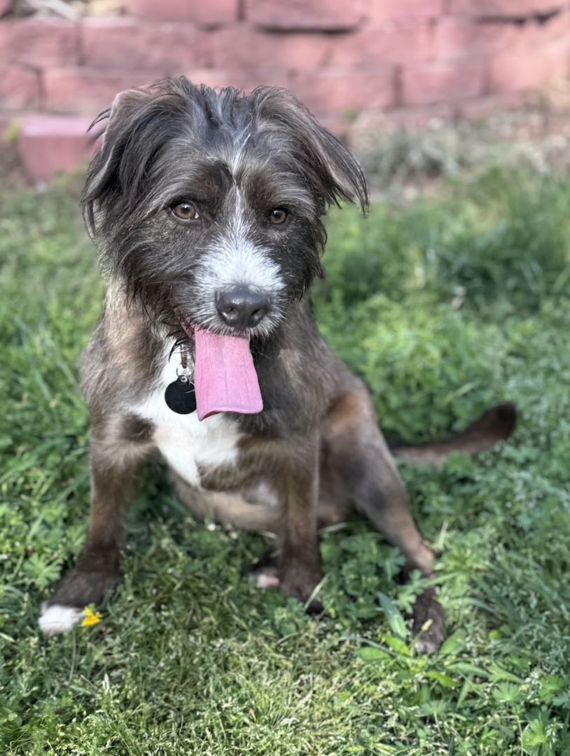 Screenshot 2026-04-28 at 2.04.57 PM.png