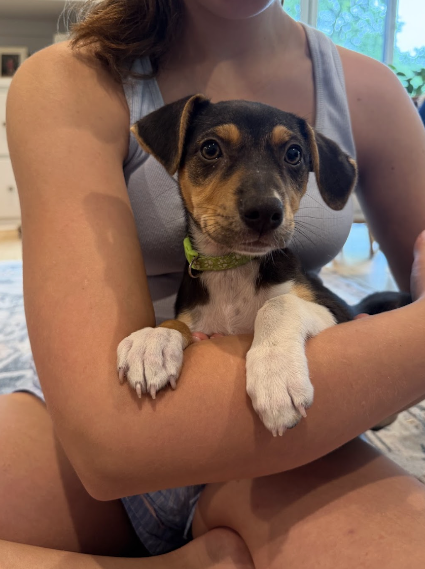 Screenshot 2026-06-01 at 8.02.32 PM.png