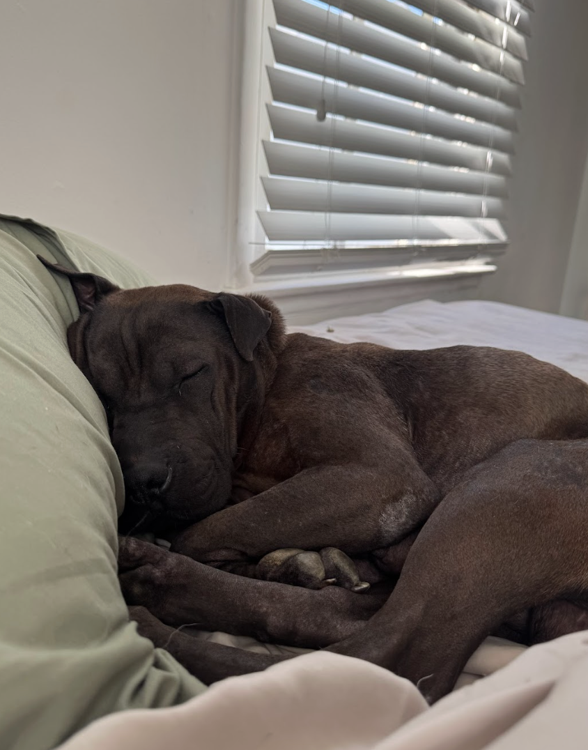 Screenshot 2026-04-08 at 3.22.36 PM.png