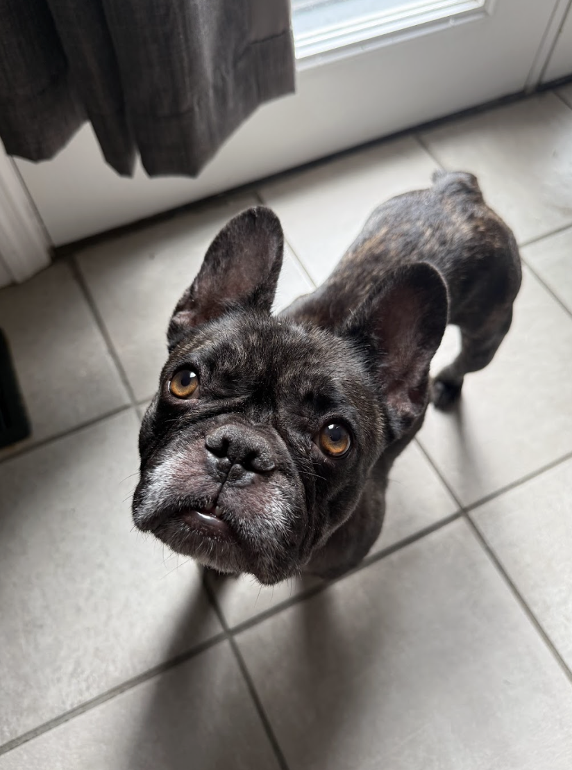 Screenshot 2026-04-20 at 2.51.50 PM.png