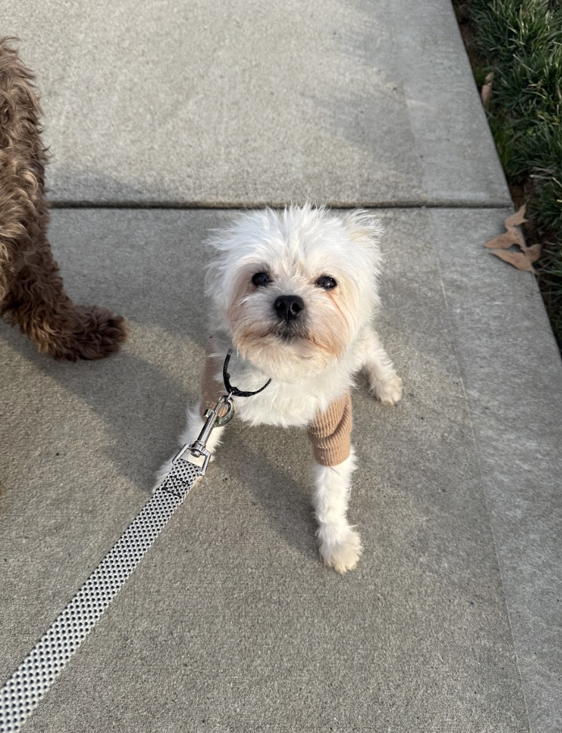 Screenshot 2026-01-14 at 2.07.39 PM.png