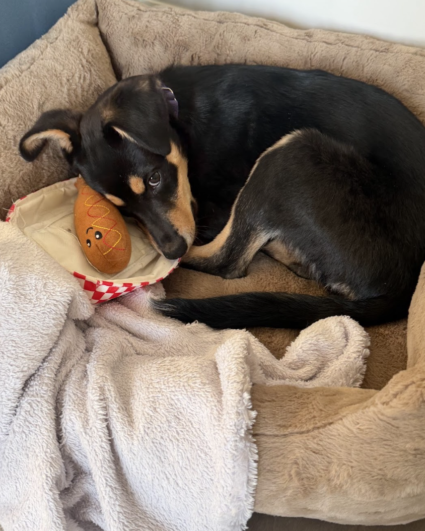 Screenshot 2026-04-20 at 2.44.37 PM.png