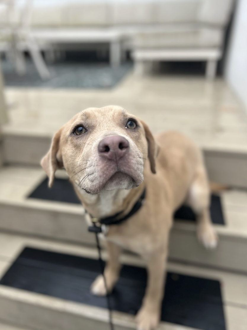 Screenshot 2025-12-18 at 1.48.14 PM.png