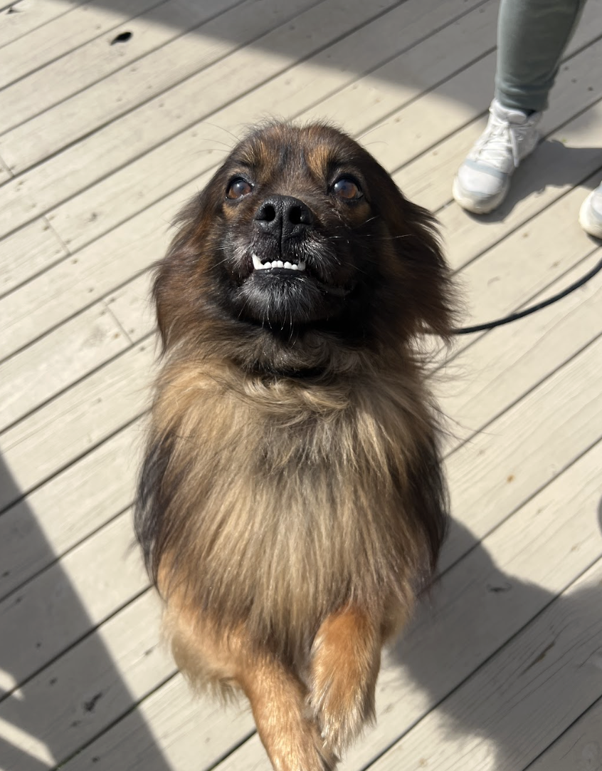 Screenshot 2026-03-14 at 4.52.58 PM.png