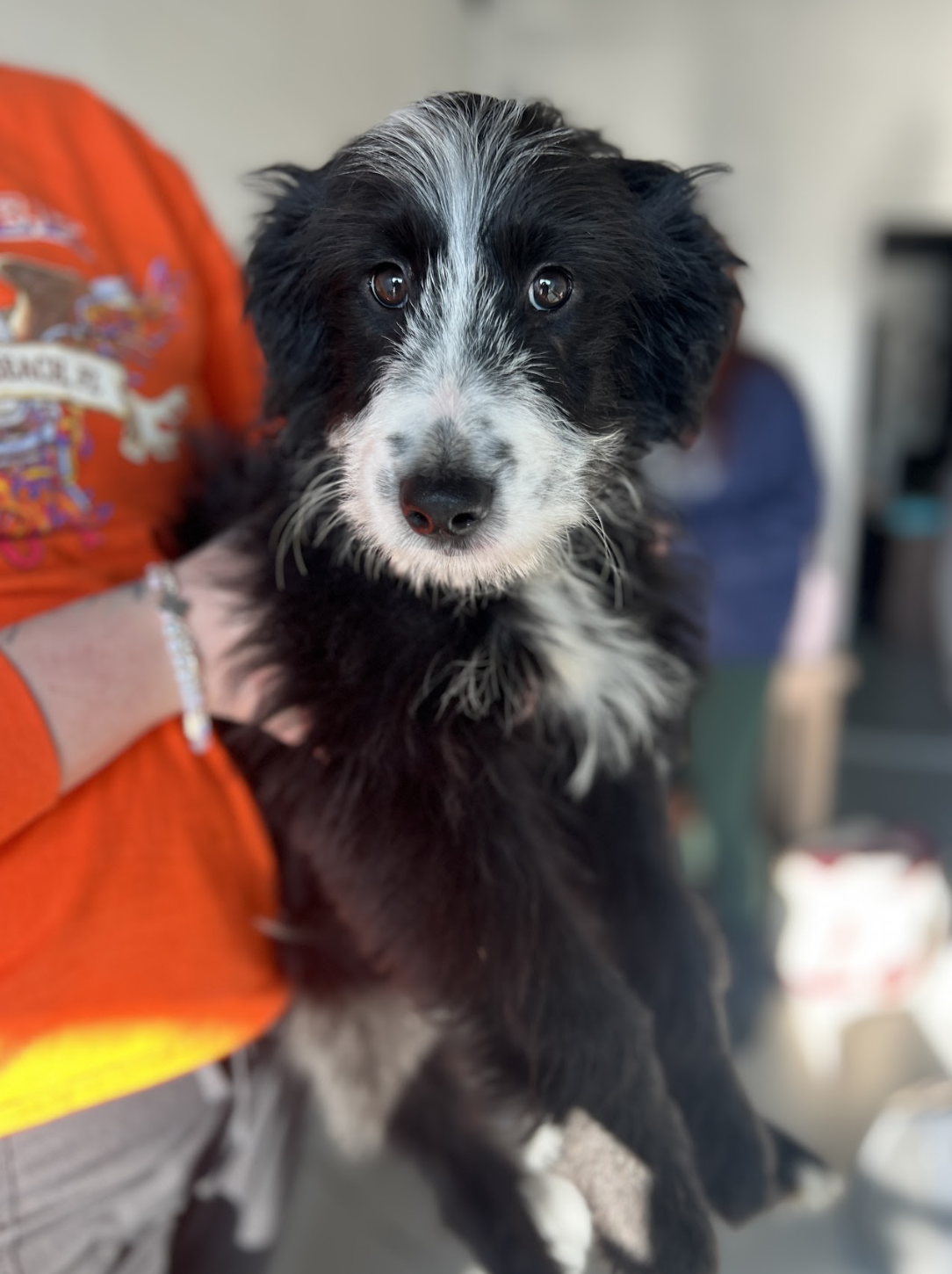 Screenshot 2025-12-03 at 3.14.38 PM.png