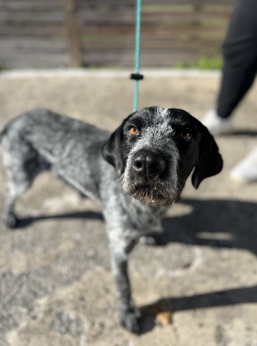 Screenshot 2026-01-15 at 3.34.56 PM.png