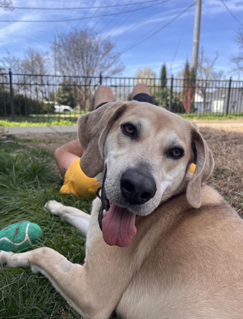 Screenshot 2026-03-19 at 4.12.40 PM.png