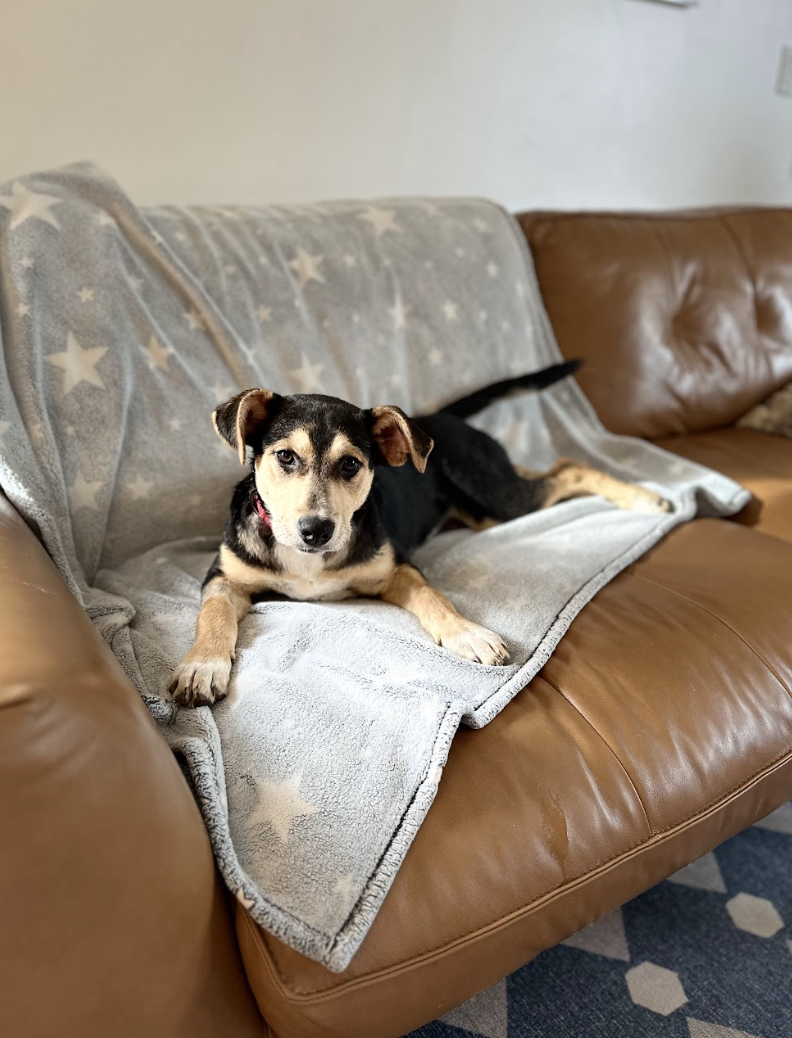 Screenshot 2026-04-03 at 1.06.13 PM.png