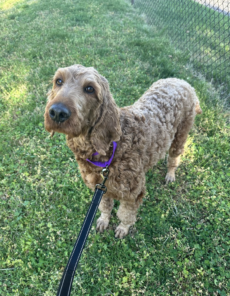 Screenshot 2026-04-08 at 3.51.01 PM.png