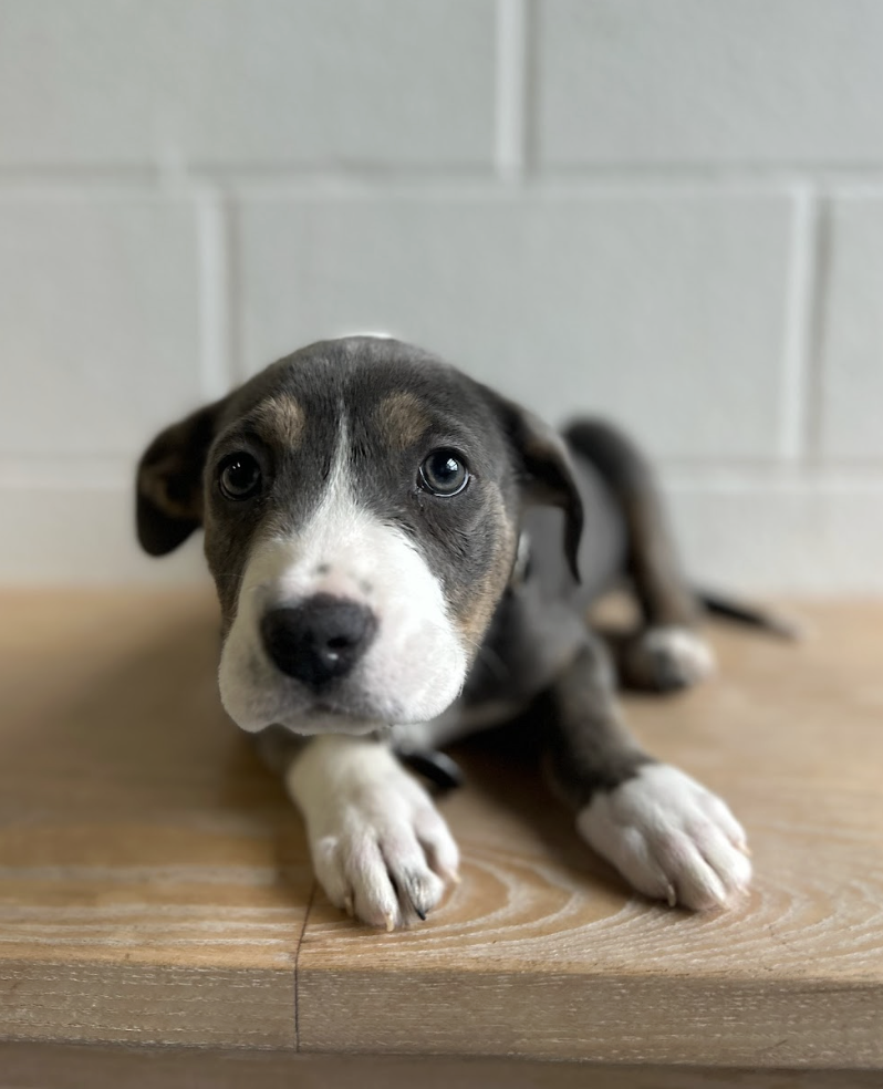 Screenshot 2026-02-19 at 5.02.45 PM.png