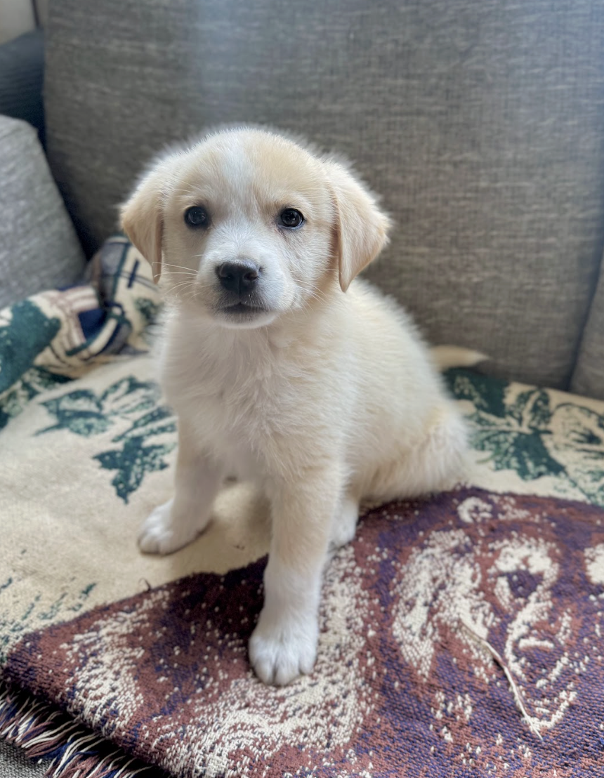 Screenshot 2026-04-16 at 4.56.57 PM.png