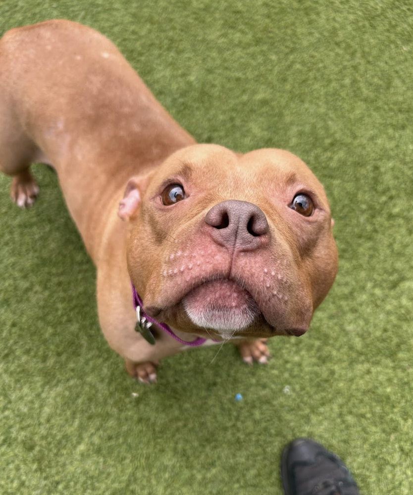 Screenshot 2026-03-11 at 6.41.58 PM.png