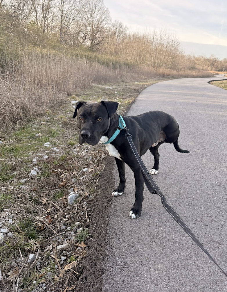 Screenshot 2026-02-26 at 2.17.26 PM.png