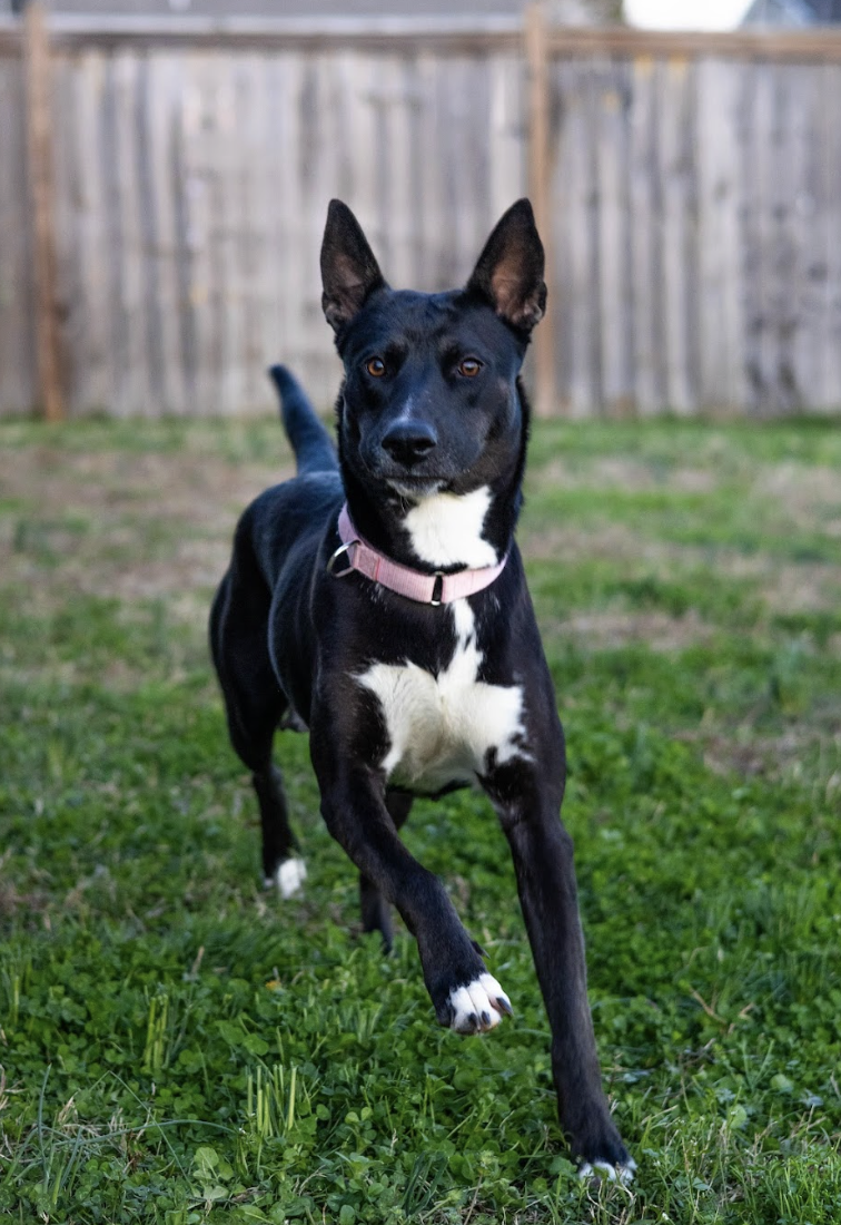 Screenshot 2026-03-17 at 12.21.09 PM.png