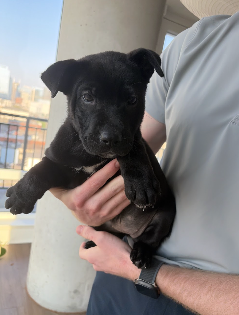 Screenshot 2026-03-30 at 12.57.15 PM.png