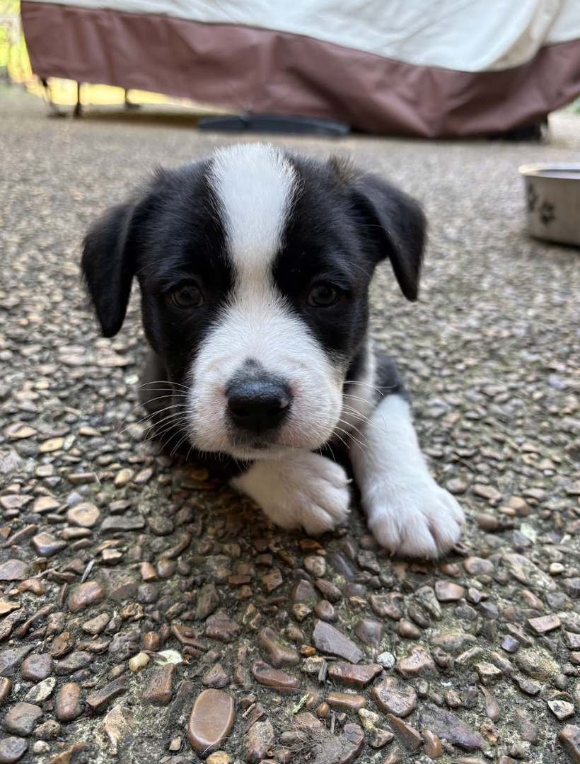 Screenshot 2026-03-27 at 8.00.30 PM.png