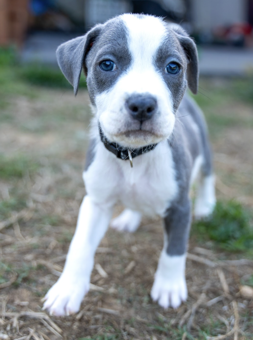 Screenshot 2026-04-23 at 2.19.52 PM.png