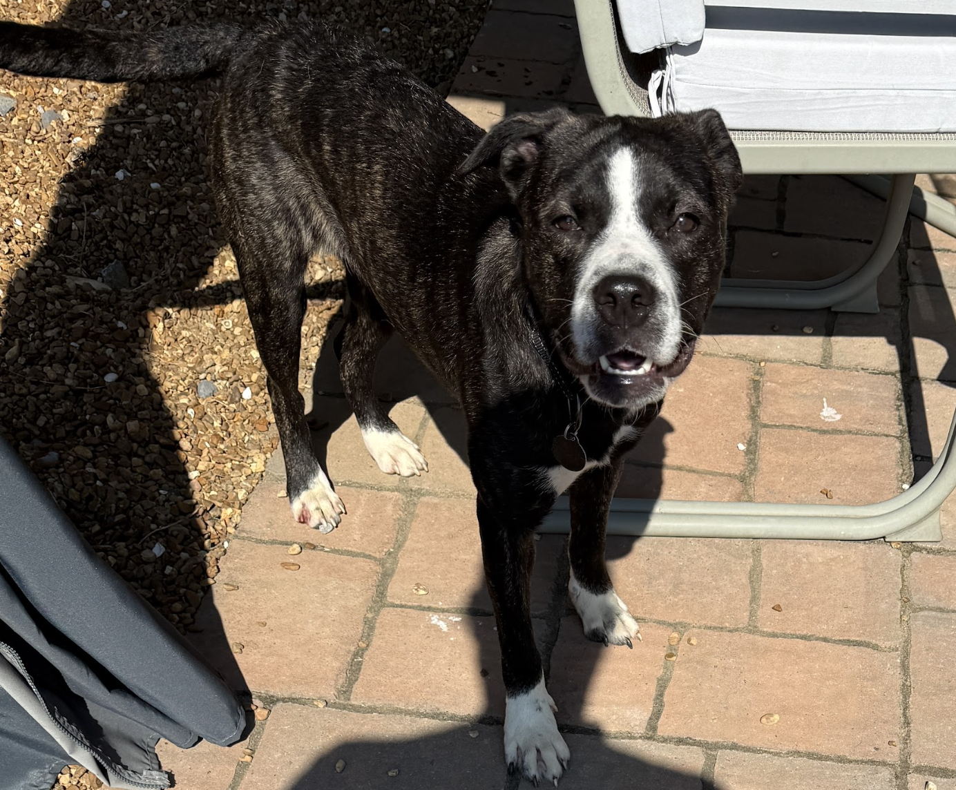 Screenshot 2026-04-07 at 5.01.59 PM.png