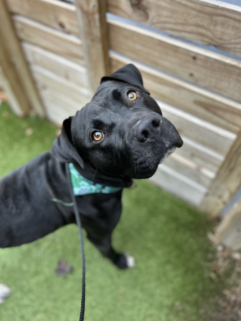 Screenshot 2026-01-14 at 3.43.26 PM.png