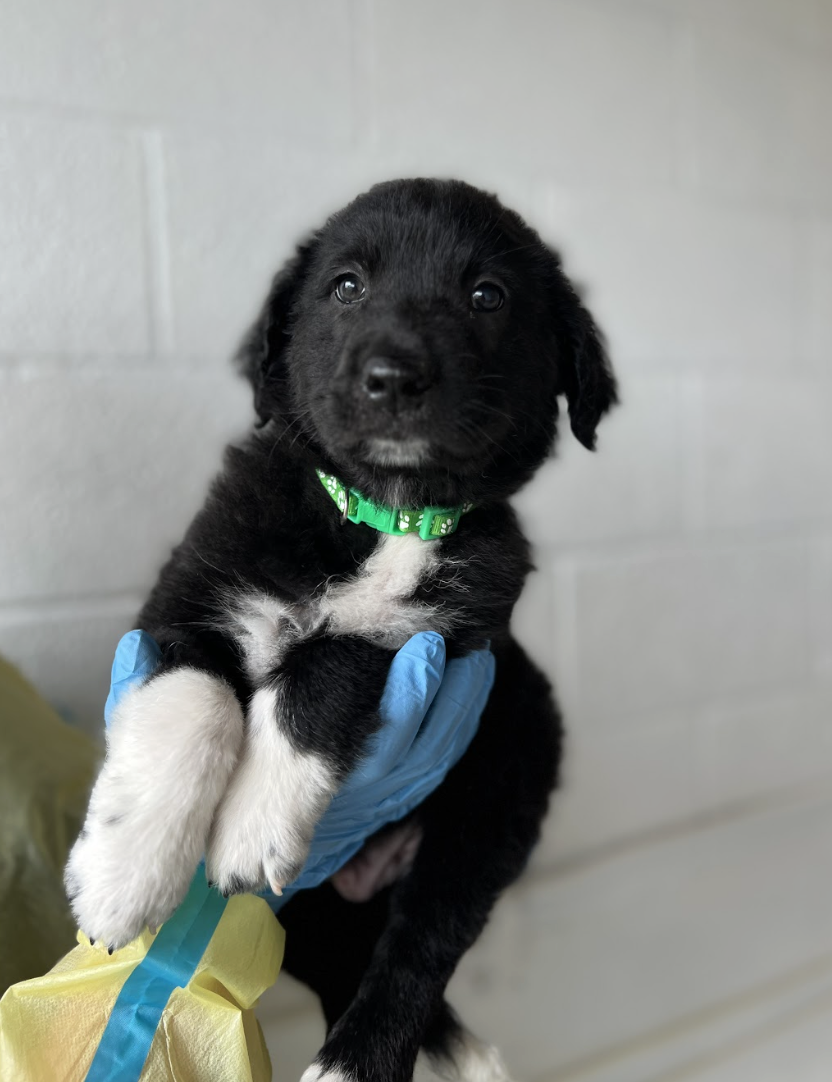 Screenshot 2026-04-16 at 4.20.50 PM.png