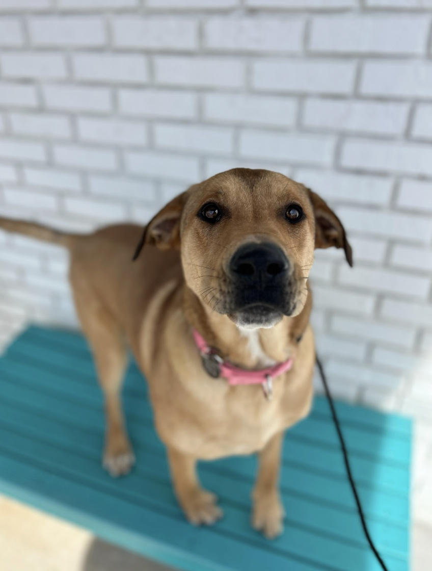 Screenshot 2026-03-14 at 5.07.17 PM.png