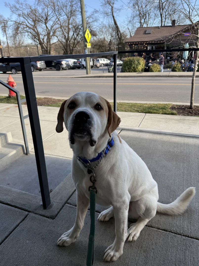 Screenshot 2026-02-21 at 4.16.44 PM.png