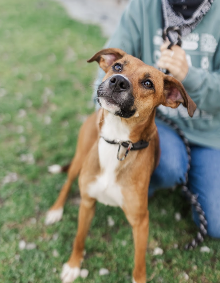 Screenshot 2026-03-20 at 2.29.49 PM.png