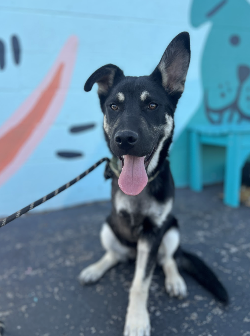 Screenshot 2026-04-23 at 8.06.39 PM.png