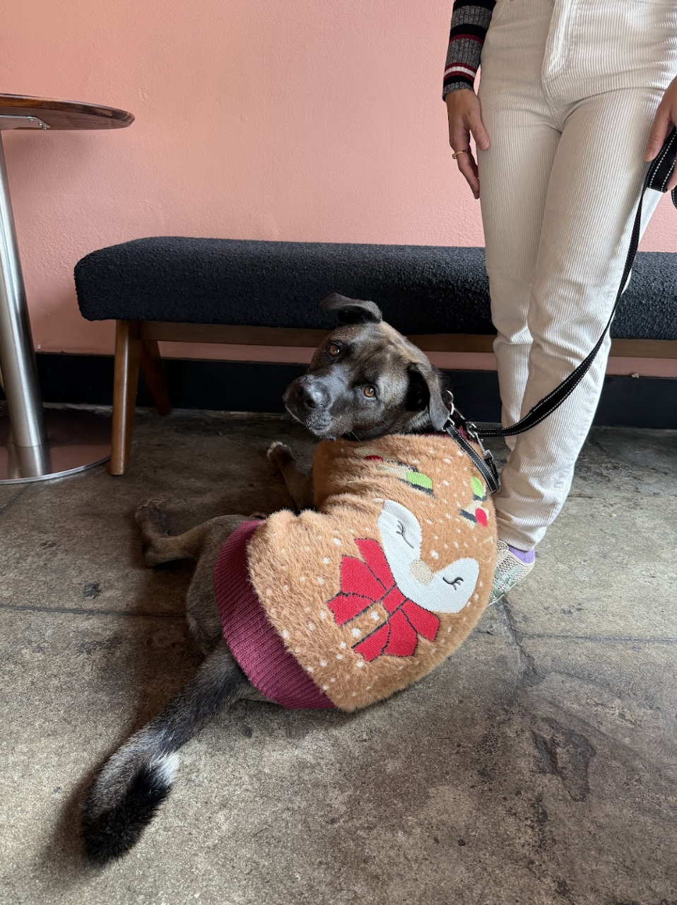 Screenshot 2025-12-30 at 6.35.29 PM.png