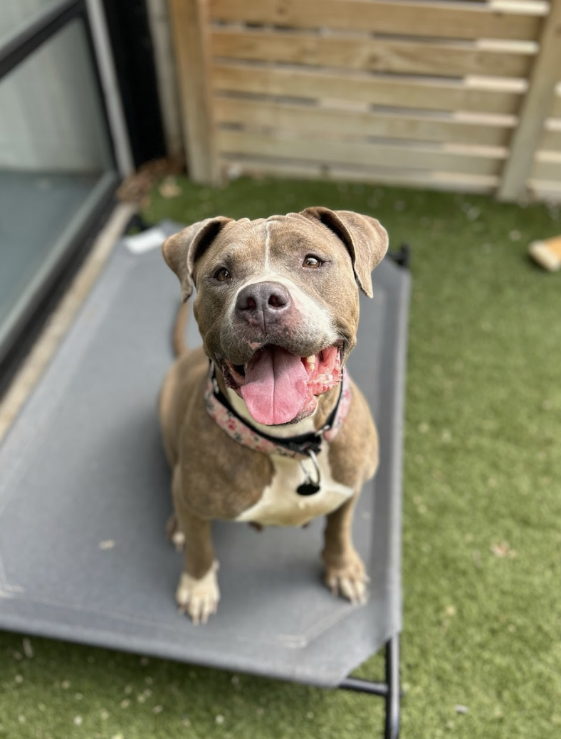 Screenshot 2026-03-26 at 2.42.30 PM.png