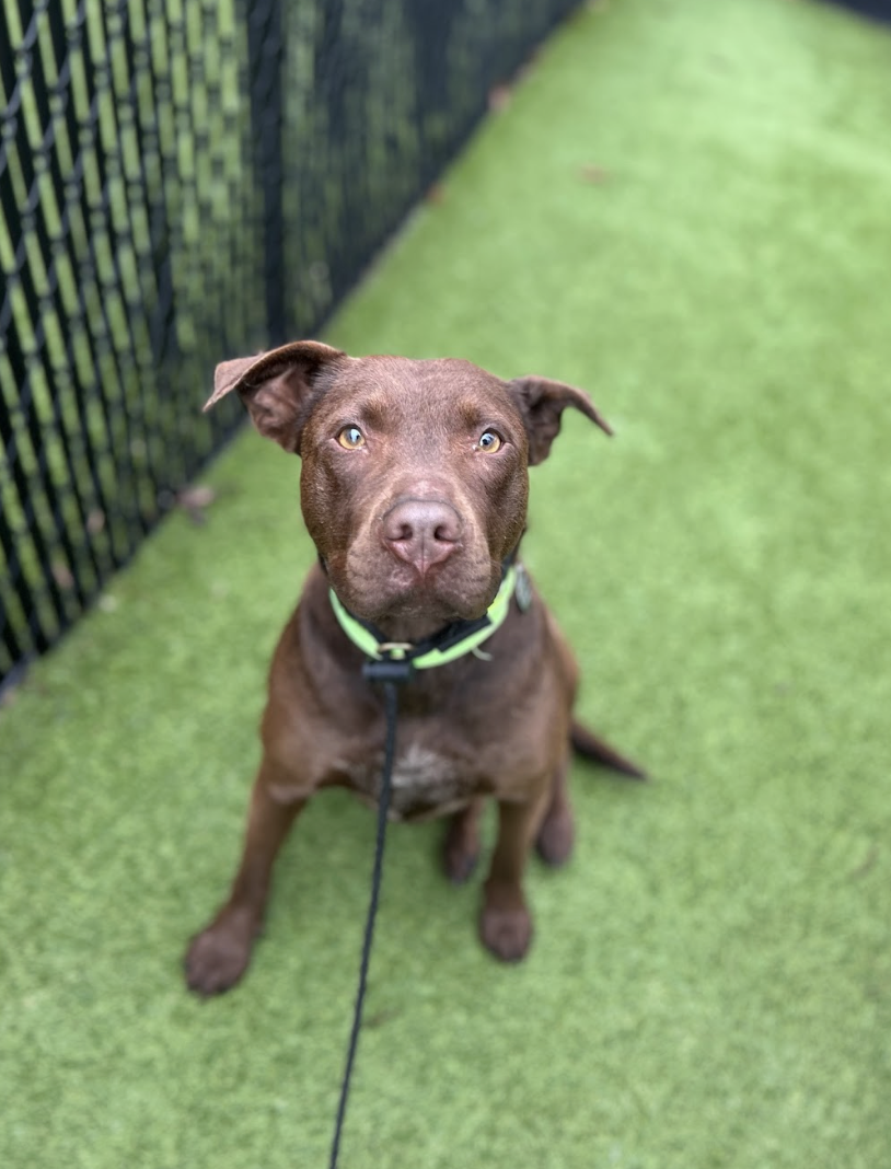 Screenshot 2026-02-19 at 7.27.09 PM.png