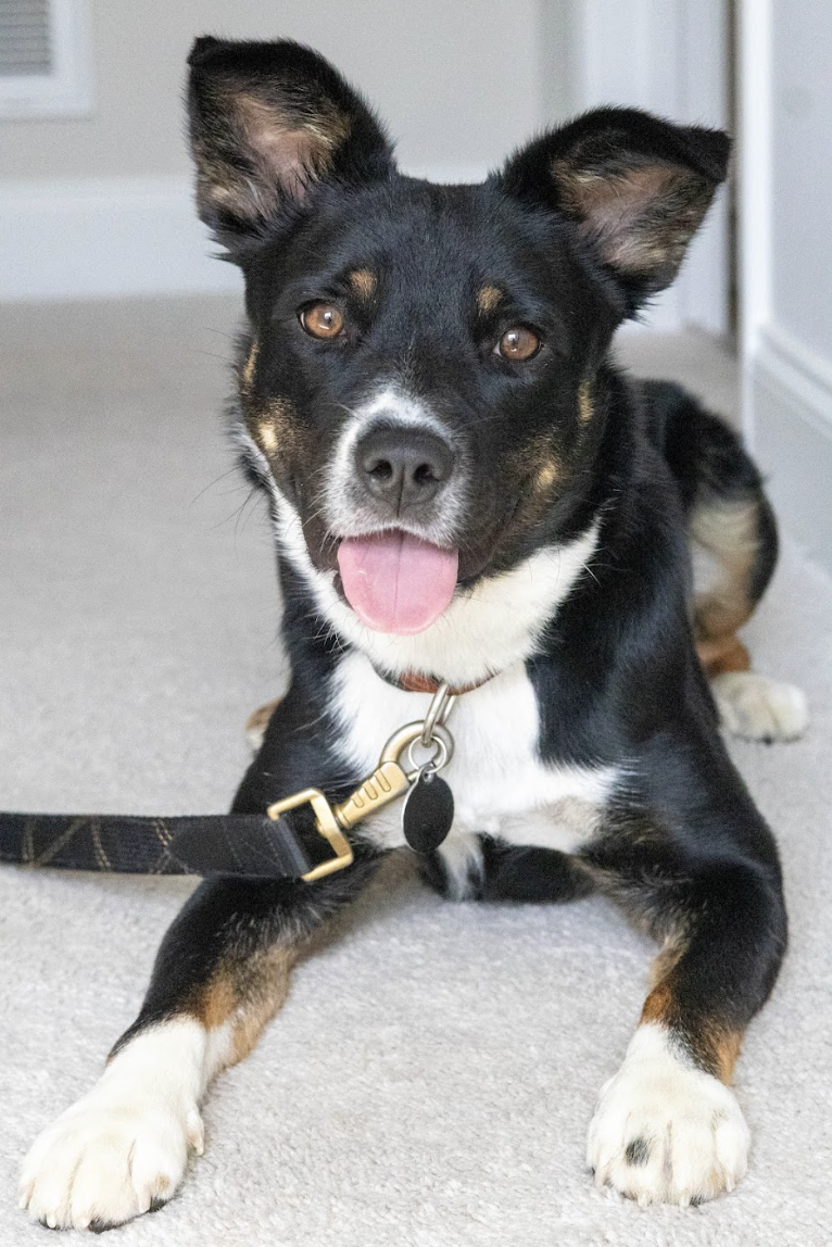 Screenshot 2026-04-22 at 4.50.16 PM.png