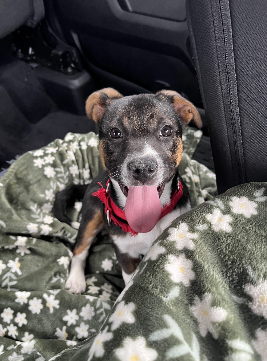 Screenshot 2026-02-27 at 12.53.33 PM.png