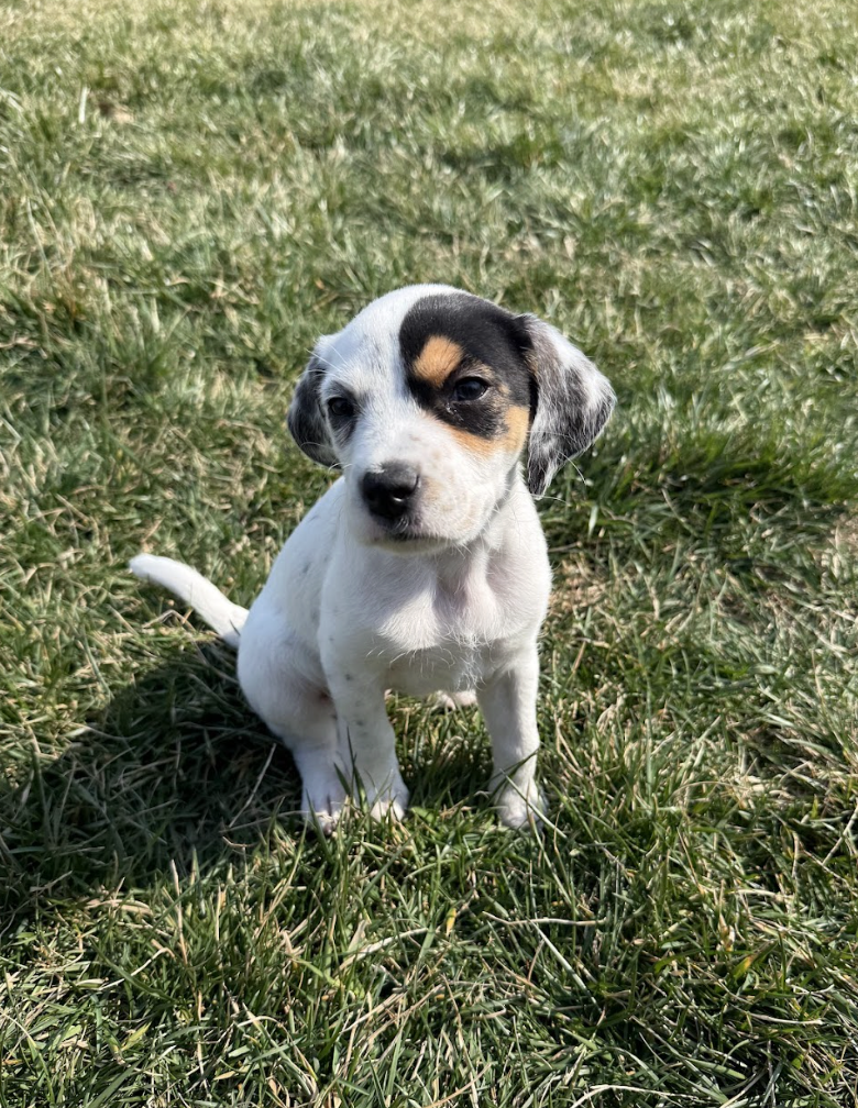 Screenshot 2026-03-10 at 8.58.51 PM.png