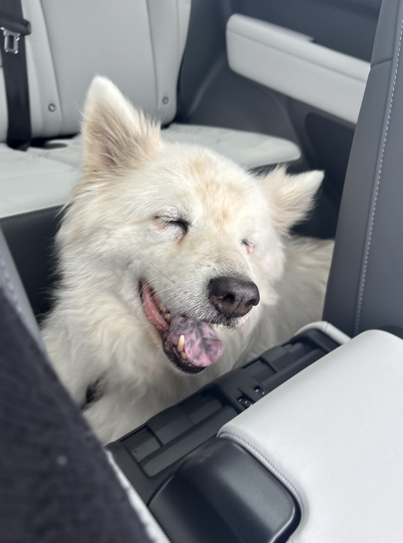 Screenshot 2026-03-24 at 12.30.24 PM.png