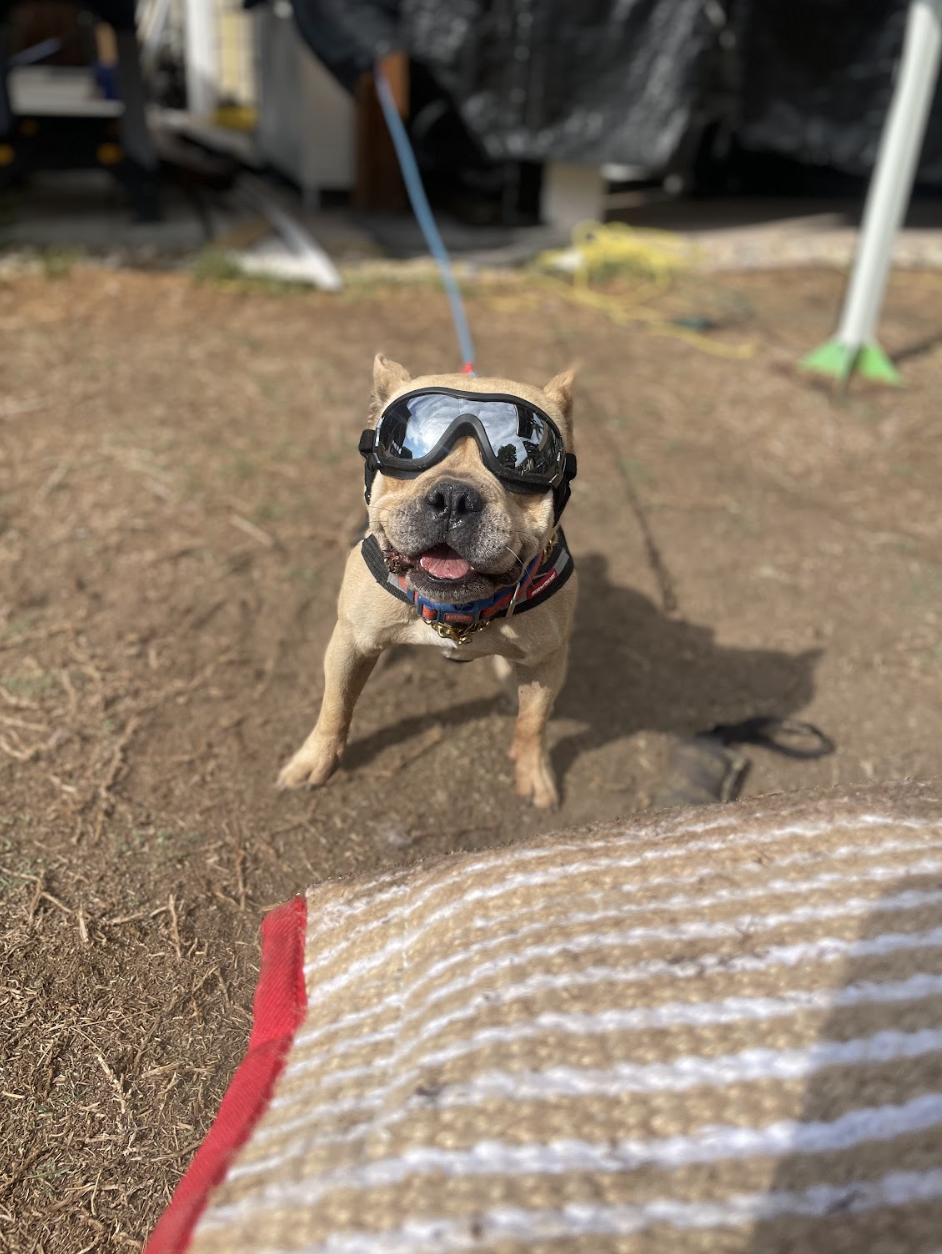 Screenshot 2025-12-30 at 6.21.04 PM.png