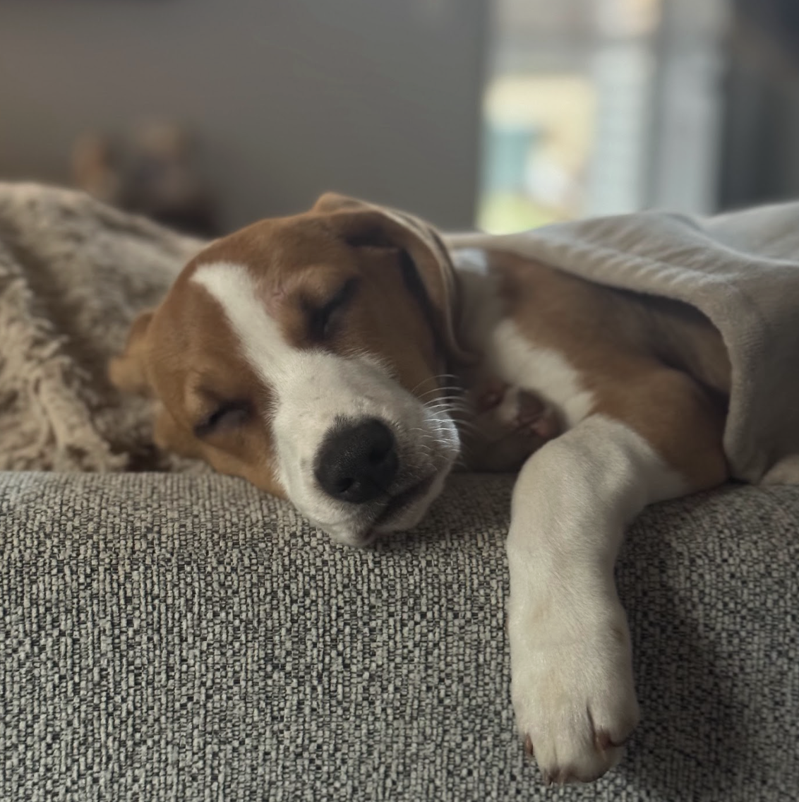 Screenshot 2026-02-13 at 1.28.15 PM.png