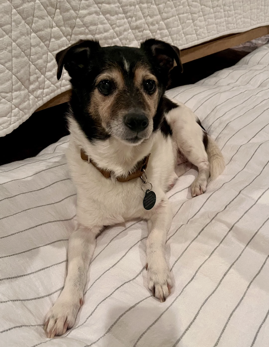 Screenshot 2026-01-14 at 9.32.34 PM.png