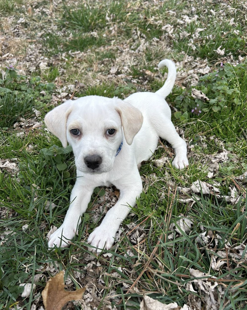 Screenshot 2026-03-10 at 8.56.53 PM.png