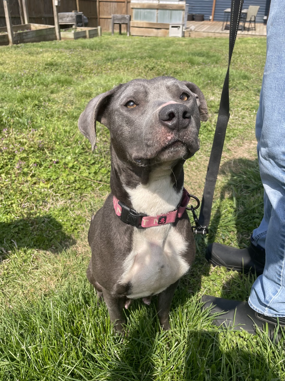 Screenshot 2026-03-26 at 7.29.09 PM.png