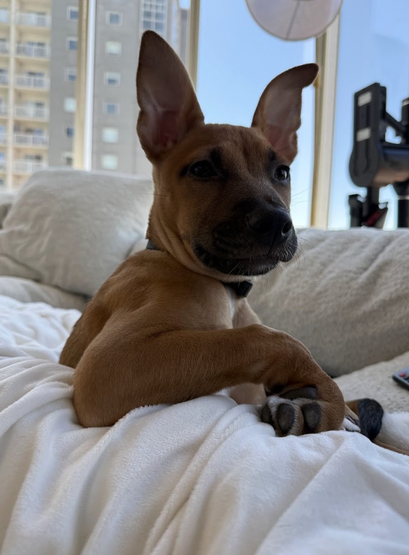 Screenshot 2026-04-03 at 1.57.10 PM.png