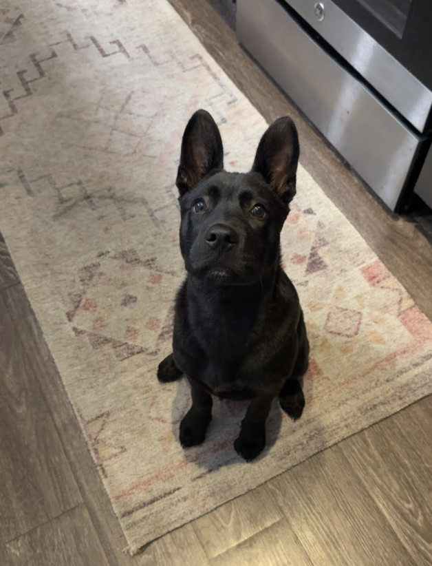 Screenshot 2026-04-23 at 7.38.10 PM.png