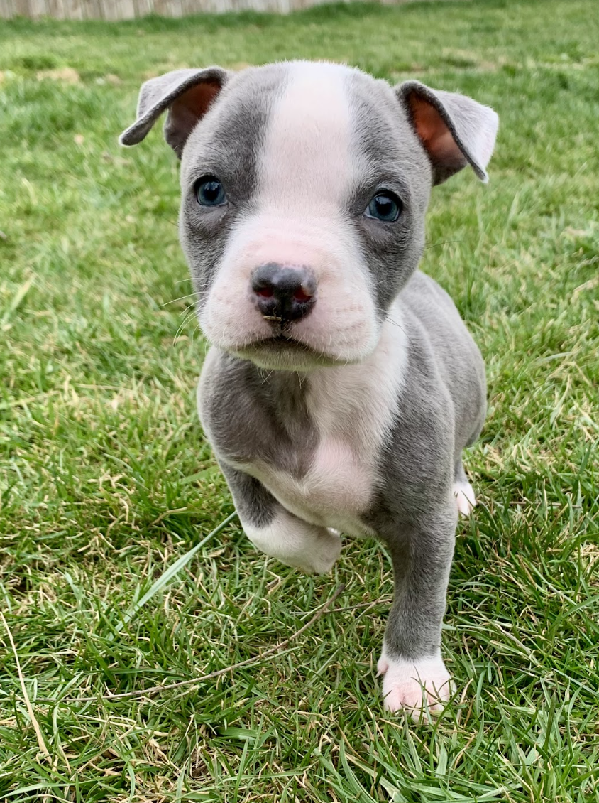 Screenshot 2026-03-14 at 1.35.32 PM.png