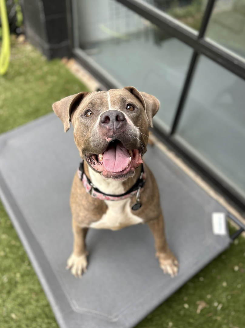 Screenshot 2026-03-26 at 2.41.55 PM.png