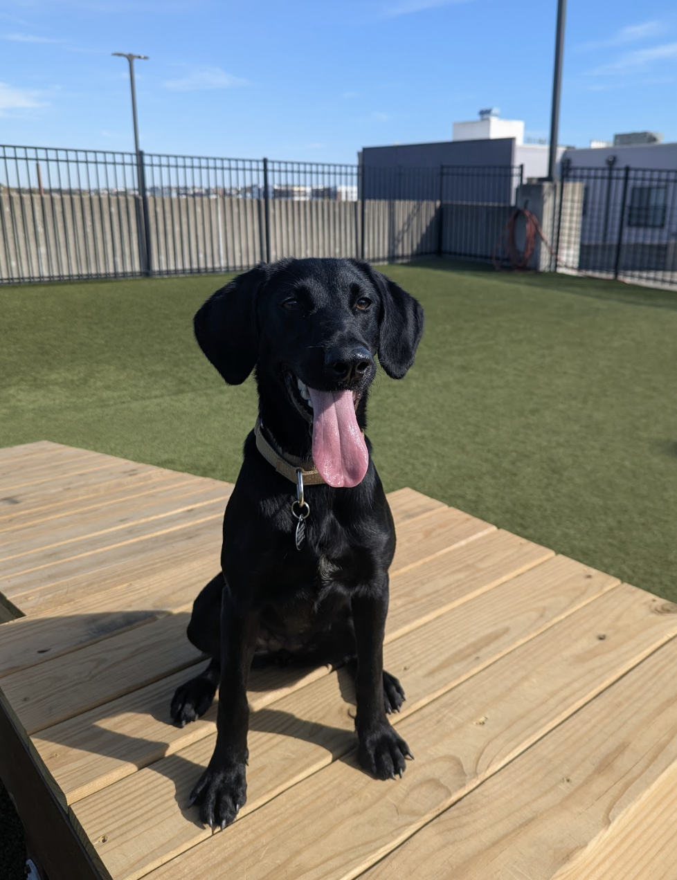 Screenshot 2025-11-18 at 12.52.18 PM.png