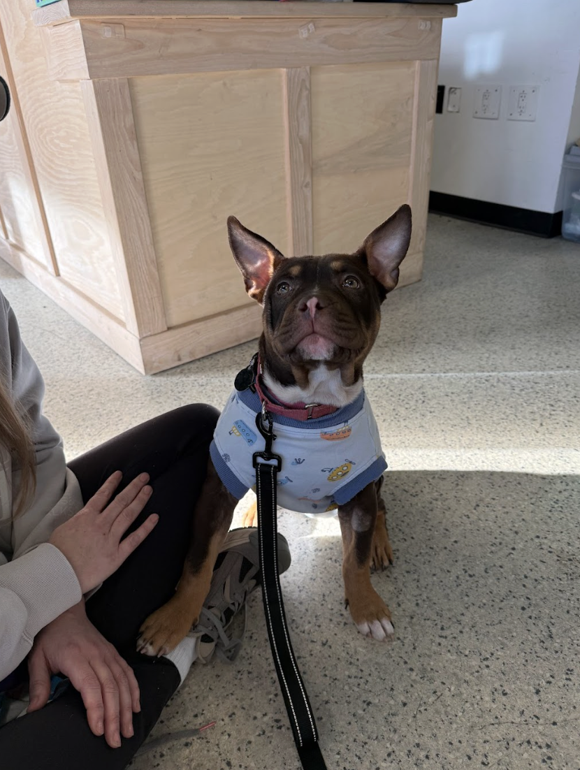 Screenshot 2026-03-24 at 12.18.19 PM.png