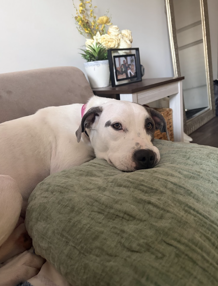 Screenshot 2026-04-22 at 6.14.27 PM.png