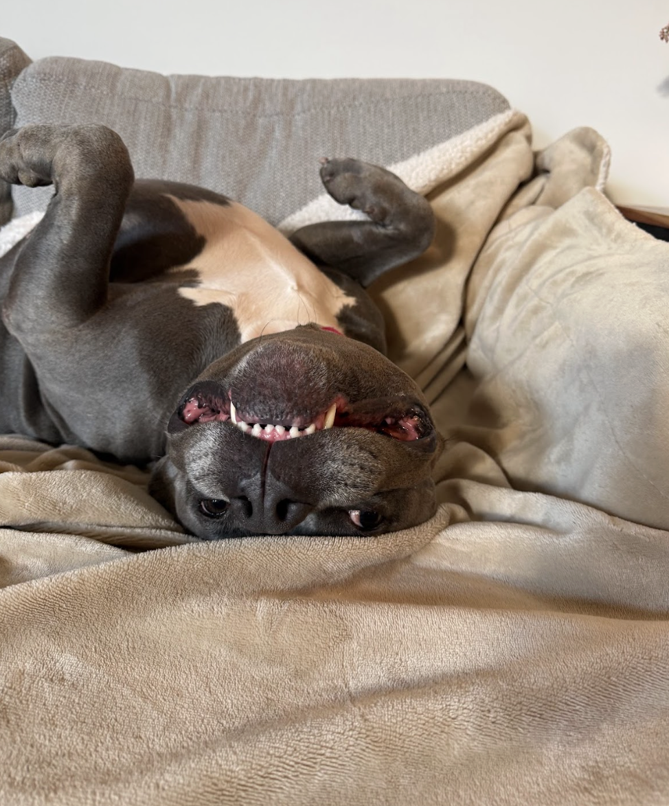 Screenshot 2026-02-16 at 6.12.39 PM.png