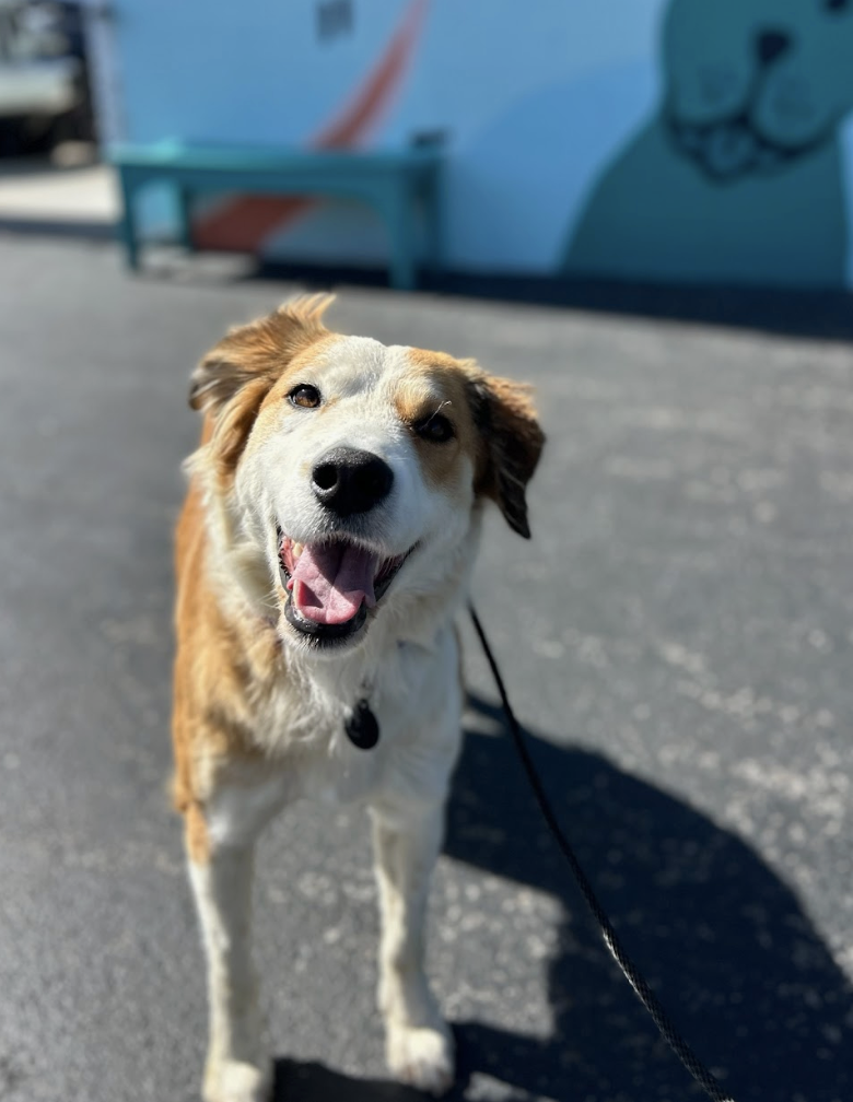 Screenshot 2026-03-14 at 5.01.27 PM.png