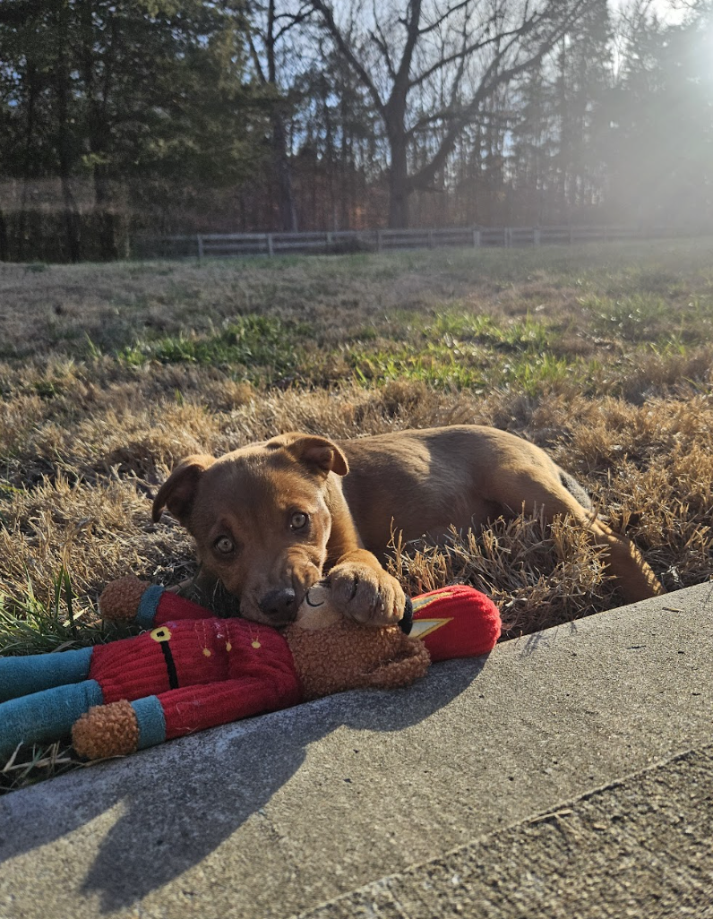 Screenshot 2026-02-20 at 3.40.28 PM.png